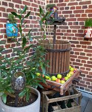 La Remise De Tantine image 11