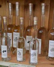 Weinbauer Michael Zinner Bild 1