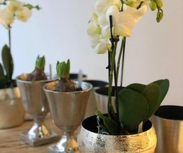 Calonder Blumen Bild 6
