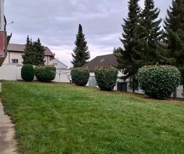 Gartenpflege & Landschaftspflege Sommer Bild 7