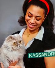 Tom&Co Denain image 2