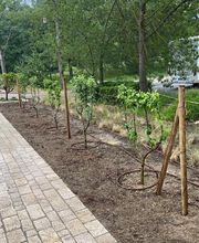 ARNAL SoFoCev image 11