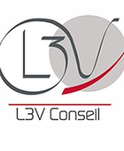 L3V Conseil image 1