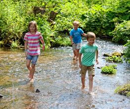 Camping Erbenwald Bild 18