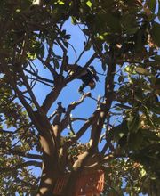 Biava Mattia - Giardiniere paesaggista Bild 12