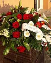 Flowers image 7