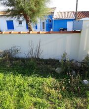 Boisseleau Thierry image 3