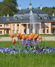 Schloss-Apotheke Pillnitz Bild 2