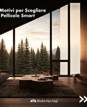 MEDIA ALPS Sagl Bild 8