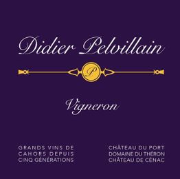 Didier PELVILLAIN