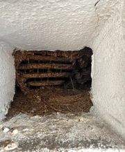 insectacon Schädlingsbekämpfung Bild 2