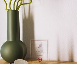 Praxisdetail mit KAIROS Zertifikat und dekorativer Gestaltung bei Physiotherapie Birkhoff. Das Bild unterstreicht die Spezialisierung auf Kairos-Methode Physiotherapie, Ursachenanalyse Schmerzen und ganzheitliches Therapiekonzept Magdeburg.