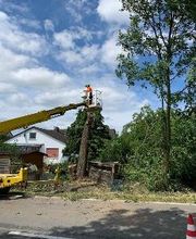 Gartenbau Schade Bild 7