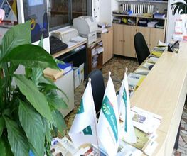 Gallery Cliente