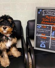 Town & Country Veterinary Clinic image 10
