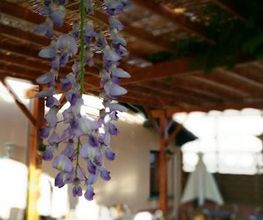 Restaurant les Sources image 18