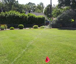 Gartengestaltung von GreenFairway e.K. inkl. Rollrasen verlegen