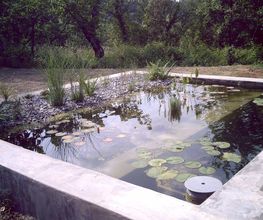 JLS Piscine image 5