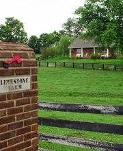 Limestone Properties, Inc. image 8