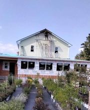 Nicole's Greenhouse & Florist image 3