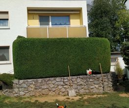 Felix Schön Garten- und Landschaftspflege