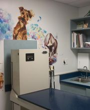 East Side Animal Hospital, A Thrive Pet Healthcare Partner image 1