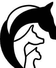 Le Coin des Animo image 2