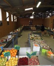 Trégor Primeurs image 6