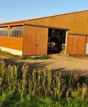 Dynamic Bois Charpente image 3