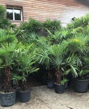 Pépinière Côté Jardin image 14