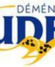 Déménagements Prudent image 5