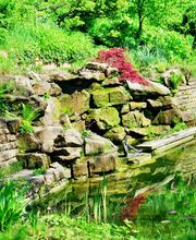 Sieben Elemente Jonathan Dieter Gartengestaltung Bild 5