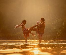 Tiger Boxing image 1