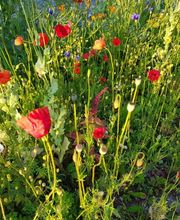 Winteler  GmbH Facility S plus Bild 6