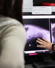 TotalBond Veterinary Hospital at Forestbrook image 3