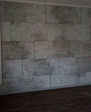 Le Corvaisier Vincent image 2