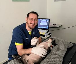 Tierklinik Leimental Bild 1
