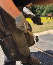 Champeaux Élodie marechal ferrant 27 eure image 5