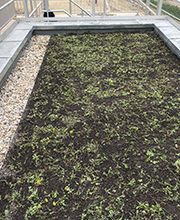 BuZ Bunzel GmbH & Co. KG Bild 2