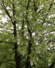 Universitäre Psychiatrische Dienste Bern (UPD) Bild 7