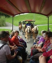 Kutschenerlebnis Bild 4