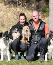 Dogs Adventure GmbH Bild 8
