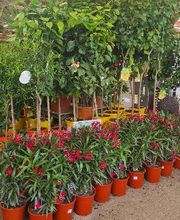 VillaVerde Bourg-en-Bresse image 7