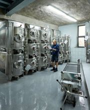 Weingut Hubertus M. Apel Bild 9