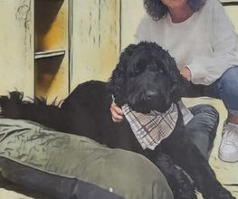 Jutta Schüler Bild 1