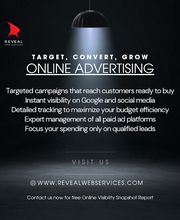 Reveal Web Services image 11