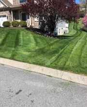 Shepherds View Landscaping & Tree Removal, LLC image 5