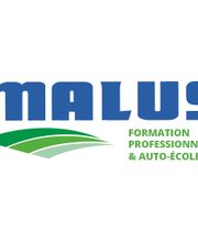 CFP Malus 18 image 1