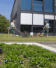 David Gartenbau AG Bild 9