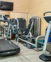 Gallery Professionale